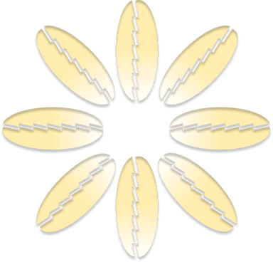 Ornamen Elements 10
